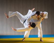 Image result for Idritz Ju Jitsu