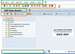 Image result for SAP Easy Access Manuel