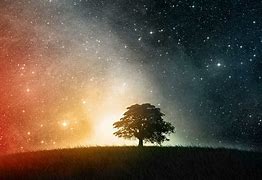 Image result for Galaxy Tree Wallpaper