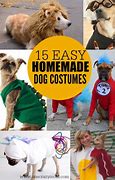 Image result for Easy Dog Halloween Costume Ideas