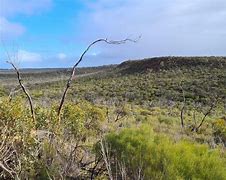 Image result for The Big Desert Wilderness