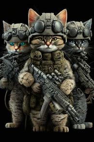 Image result for Cat with a Gun Pic