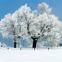 Image result for January a Winter Season