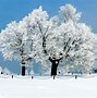 Image result for January Wallpaper for Computer