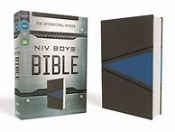 Image result for NIV Bibles Blue