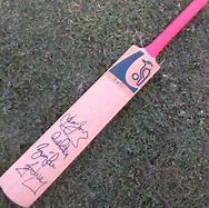 Image result for Cricket Bat Vector