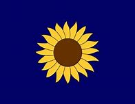 Image result for First Kansas Flag with Just a Sunflower