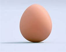 Image result for huevo