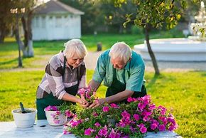 Image result for Seniors Gardening