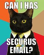 Image result for Office Cat Memes Humor