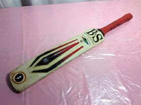 Image result for Woodworm Cricket Bat