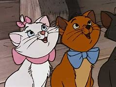 Image result for All Disney Cats