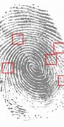 Image result for Apple Fingerprint Animation