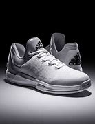 Image result for James Harden Adidas Shoes White