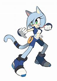 Image result for Sonic Girl OC Cat