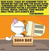 Image result for Homeless Cat Meme