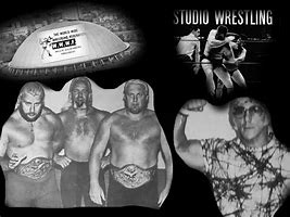 Image result for WWF Wrestling Stars