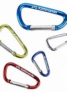 Image result for Carabiner H