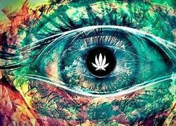 Image result for Black Eyes High in Weed