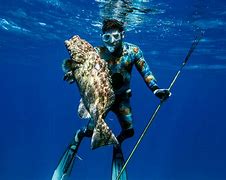 Image result for " Spearing