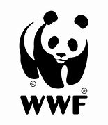 Image result for WWF Work