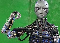 Image result for Japan Humanoid Robot