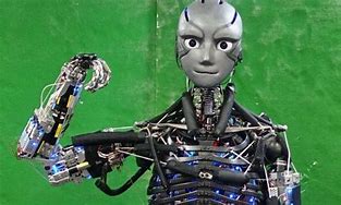 Image result for Japanese Robots That Look Human
