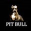 Image result for Pitbull Dog Cool