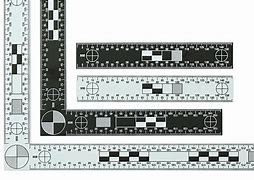 Image result for Forensic Ruler to Scale Printable