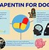 Image result for Dog Pain Chart