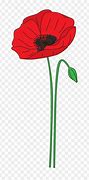 Image result for Remembrance Day Poppy No Background