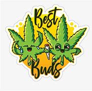Image result for Class Buds Logo
