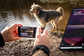 Image result for Xperia 5 III Night Photography