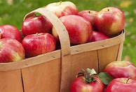 Image result for Best Apples for Apple Pie