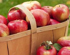 Image result for Best Apple's for Things