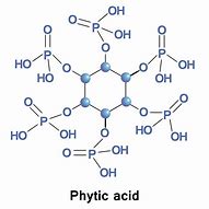 Image result for Phytic Acid Structure