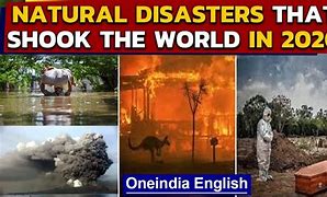 Image result for 2020 Disasters by Month Meme