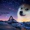 Image result for Doge Desktop