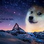 Image result for Doge Wallpeper