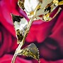 Image result for 24K Rose with Light and vs