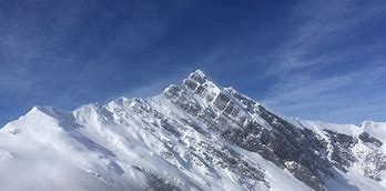Image result for alp�