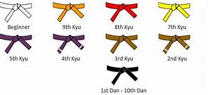 Image result for Shotokan Karate Belt Colors