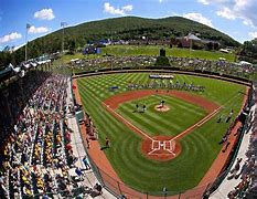 Image result for Williamsport Little League World Series