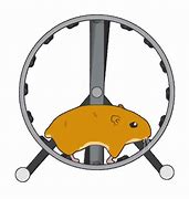 Image result for Cartoon Hamster On a Wheel