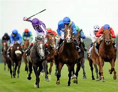 Image result for Royal Ascot Horse Racing