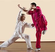 Image result for Types of Kung Fu Styles