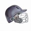 Image result for Indian Cricket Helmet