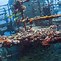 Image result for Underwater Wreck Diving