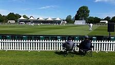 Image result for Cricket