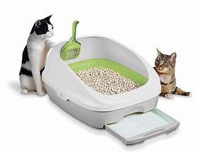 Image result for Cat Scent to Litter Tray for Blind